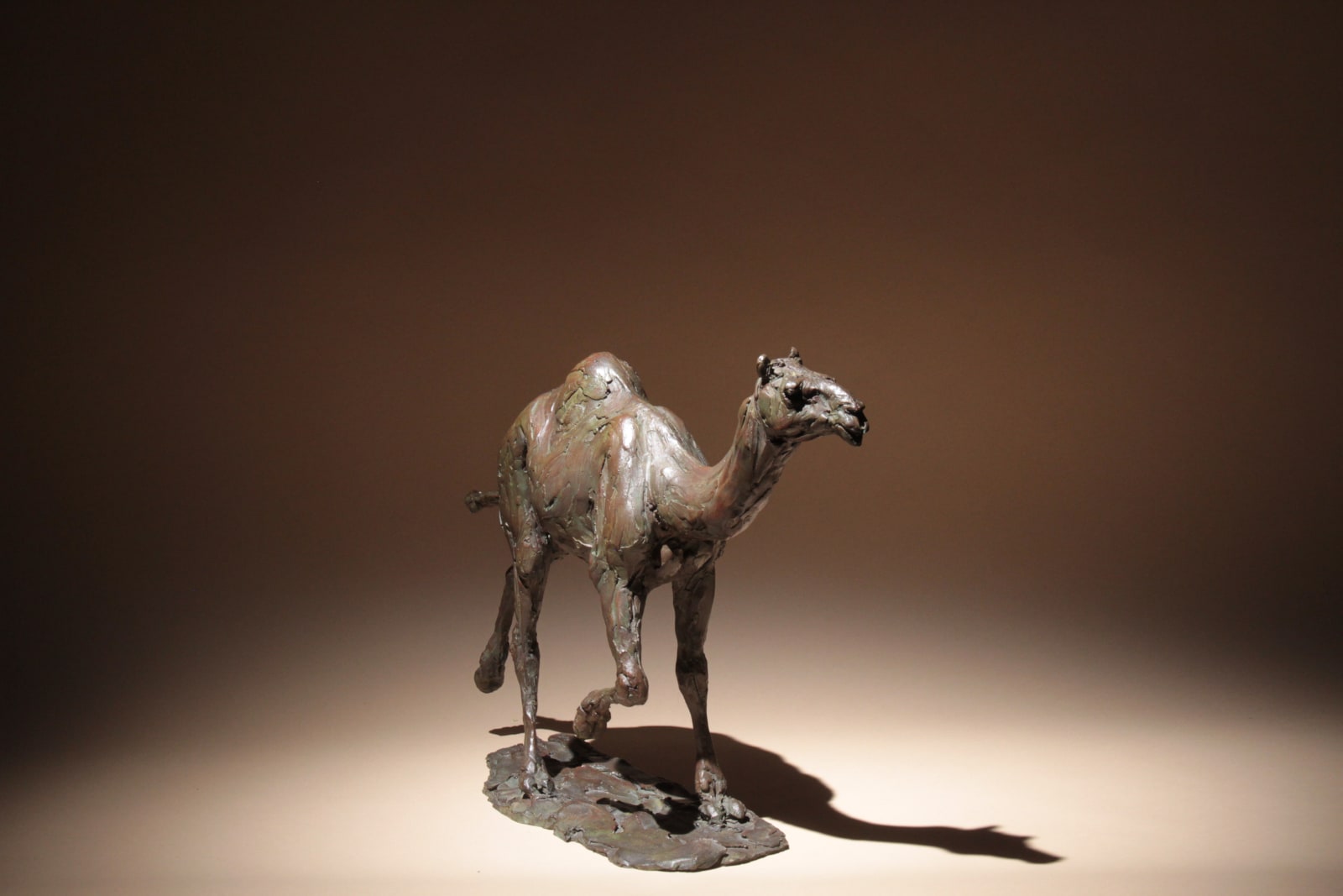 Roch Vandromme, Fin de la course (Dromadaire), 2013