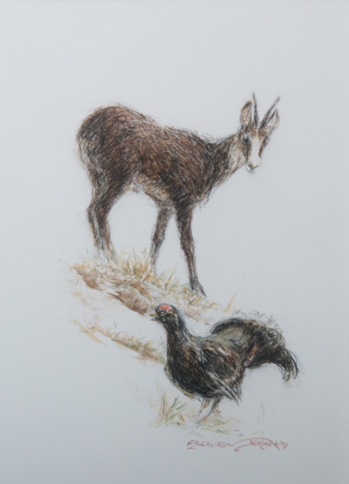 François Beaurin-Berthélemy, Chamois et tétras
