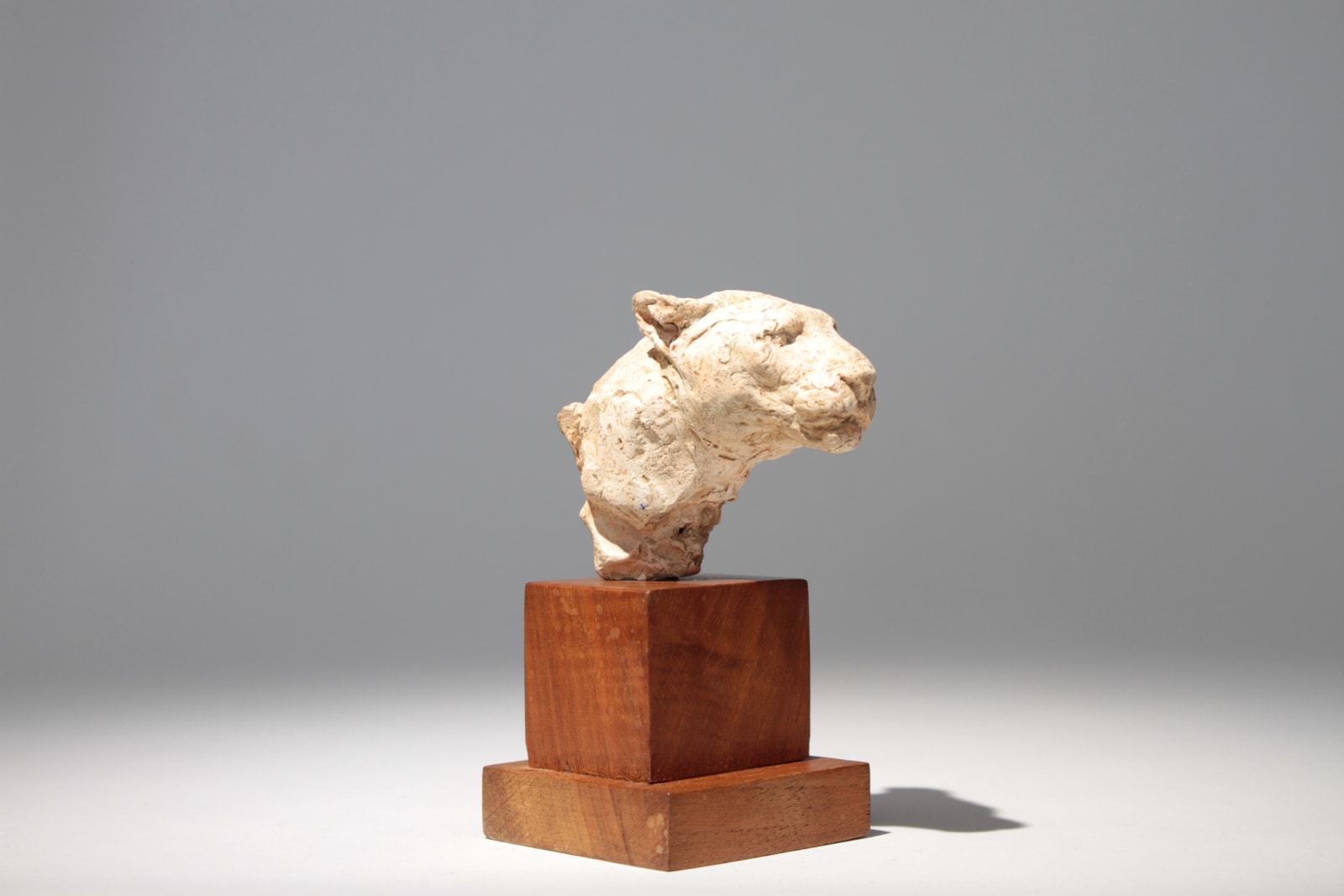 Richard Fath, Portrait de Lionne, circa 1930