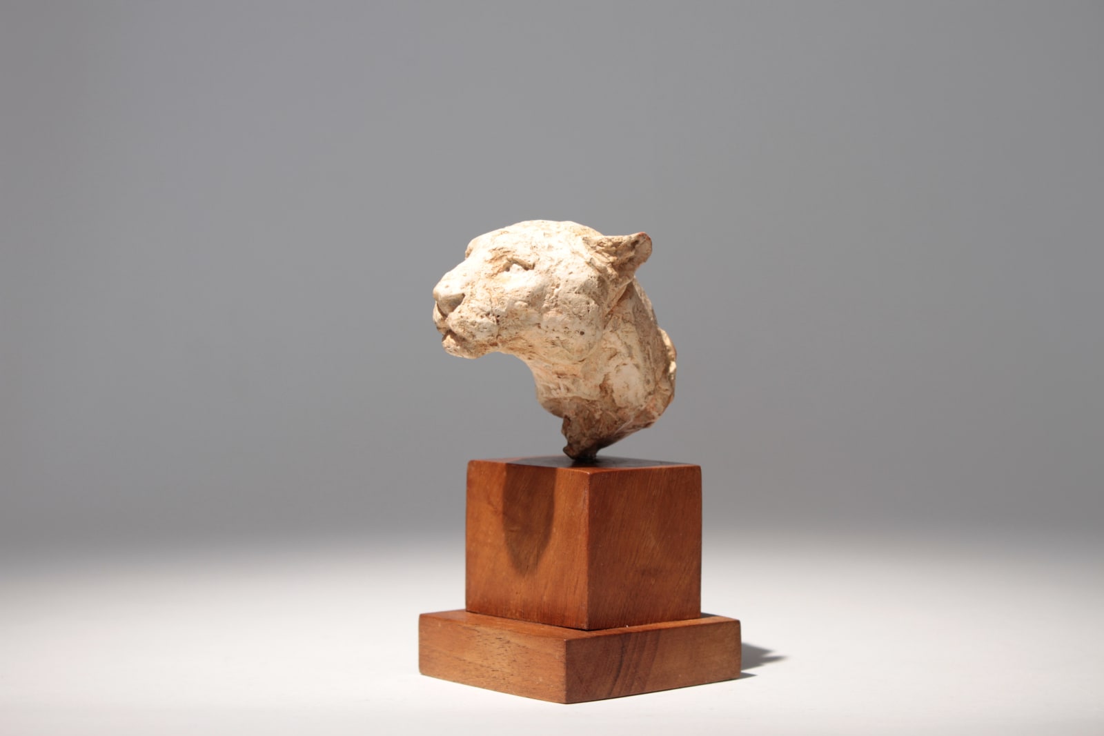 Richard Fath, Portrait de Lionne, circa 1930