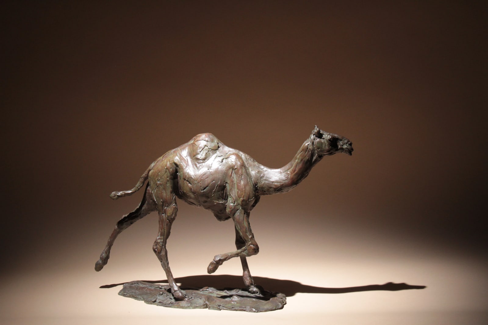 Roch Vandromme, Fin de la course (Dromadaire), 2013