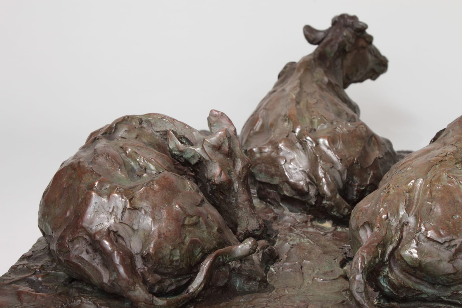 Roch Vandromme, Elles ruminent les vaches, 2003