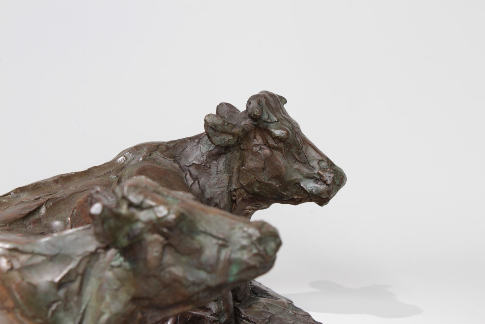 Roch Vandromme, Elles ruminent les vaches, 2003