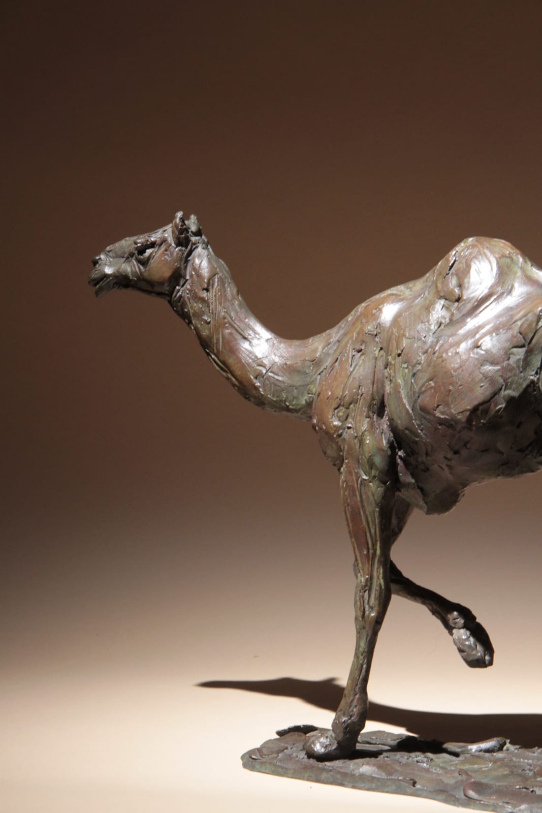 Roch Vandromme, Fin de la course, 2013