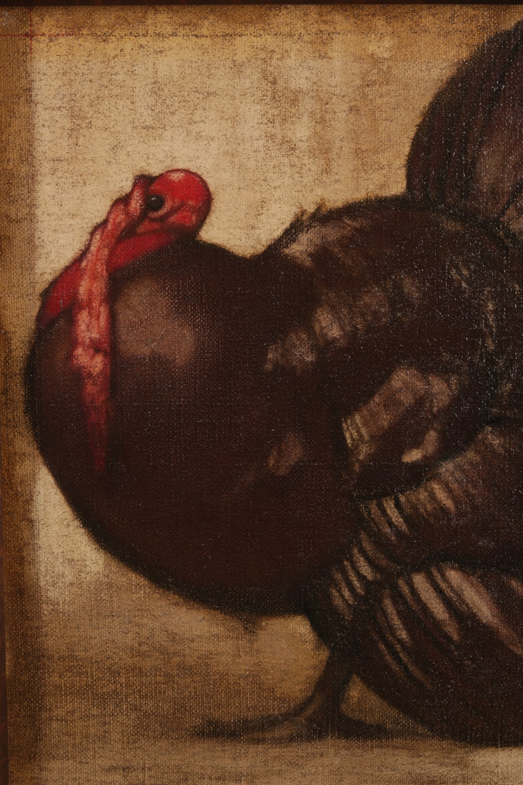 Henri Deluermoz, Coq et Dindon