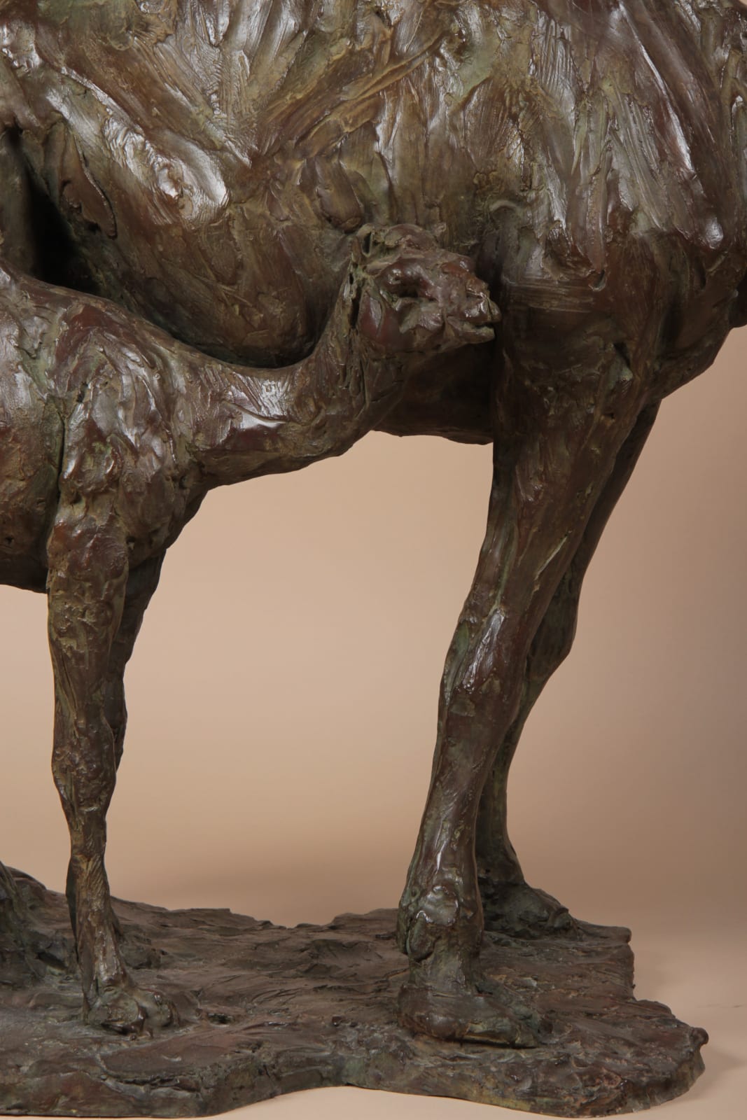 Roch Vandromme, Quatre dromadaires à Doha, 2010-2015