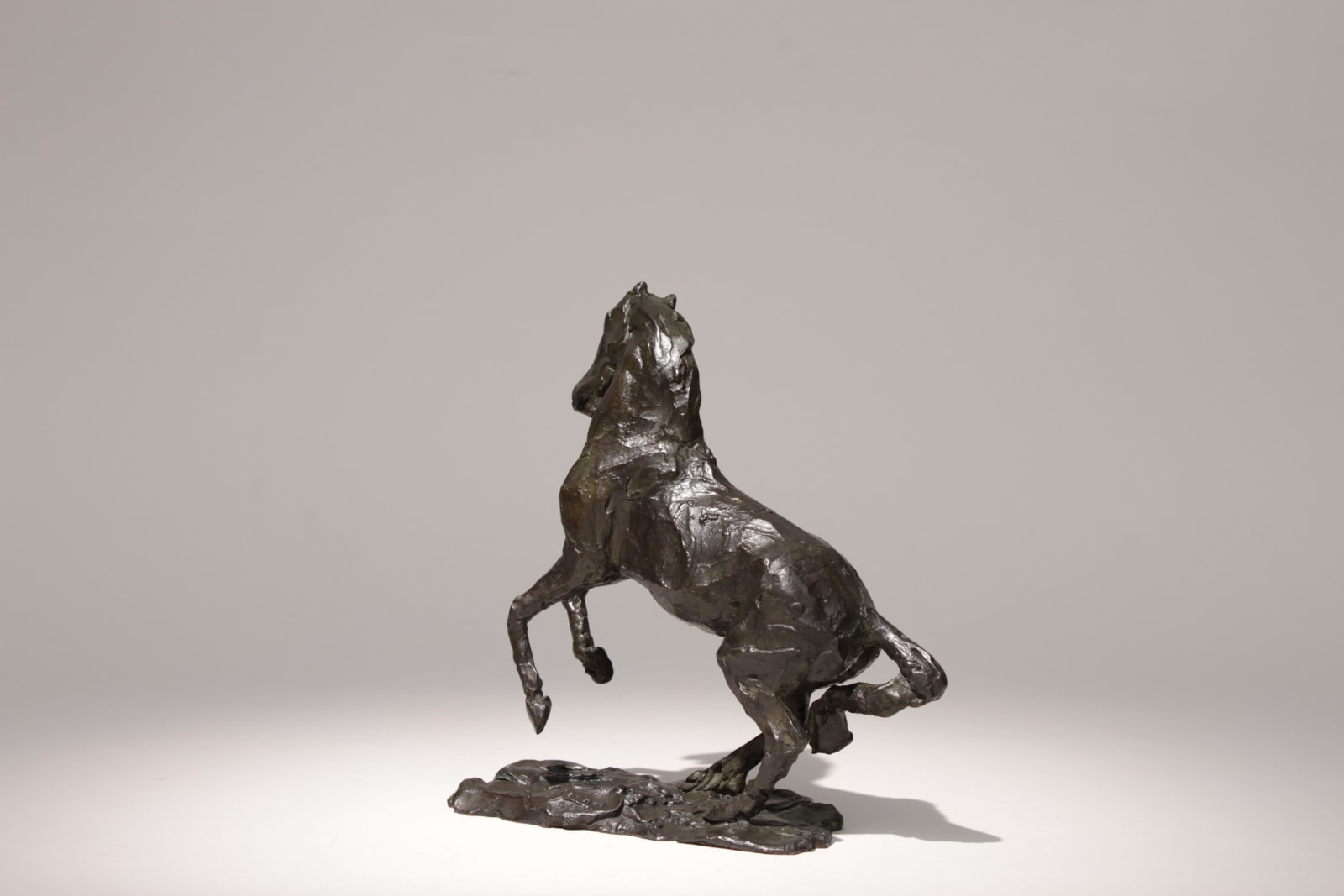 Louis de Monard, Petit cheval cabré