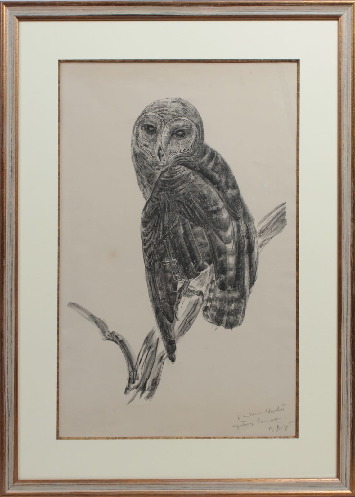 Raymond Bigot, Chouette