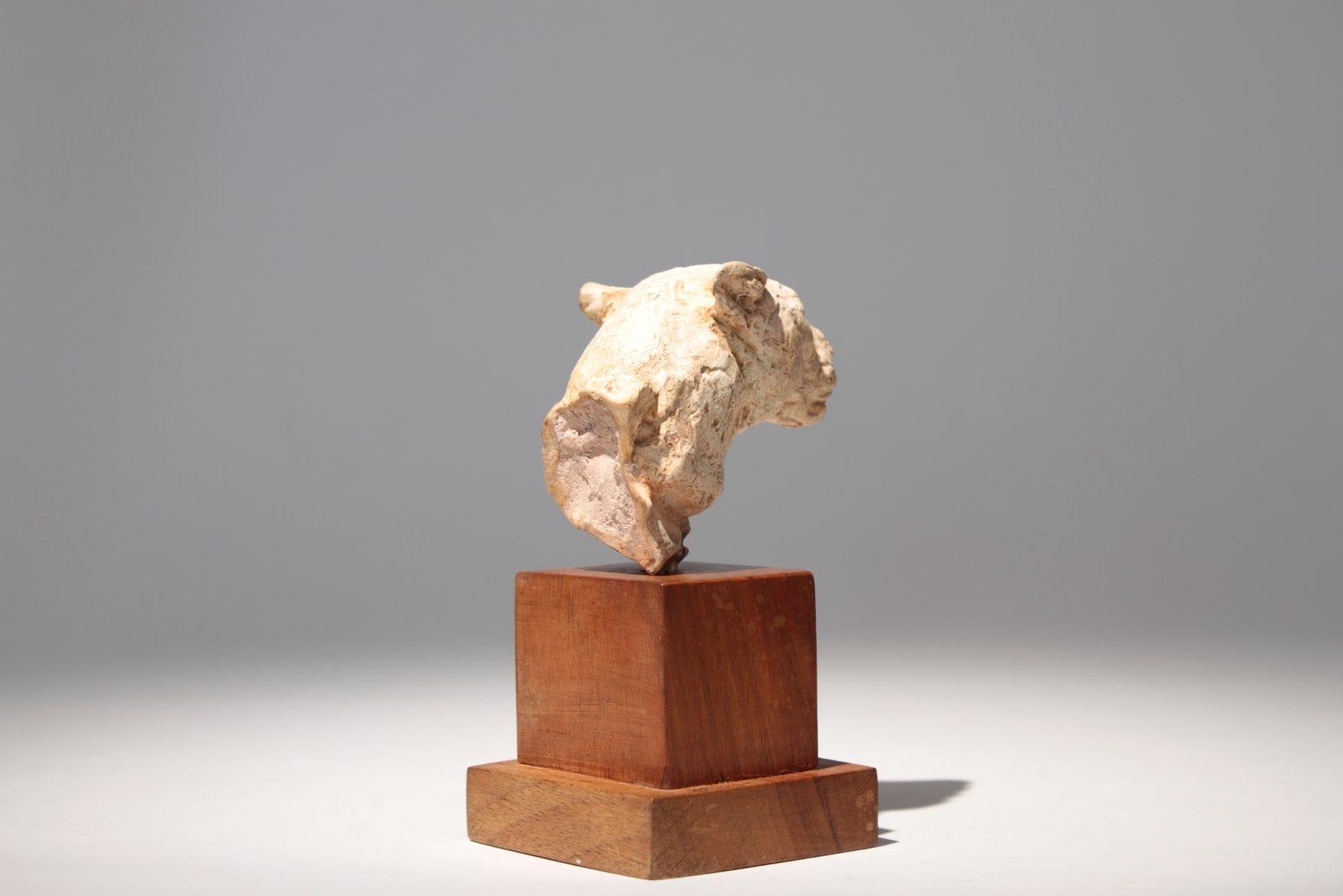 Richard Fath, Portrait de Lionne