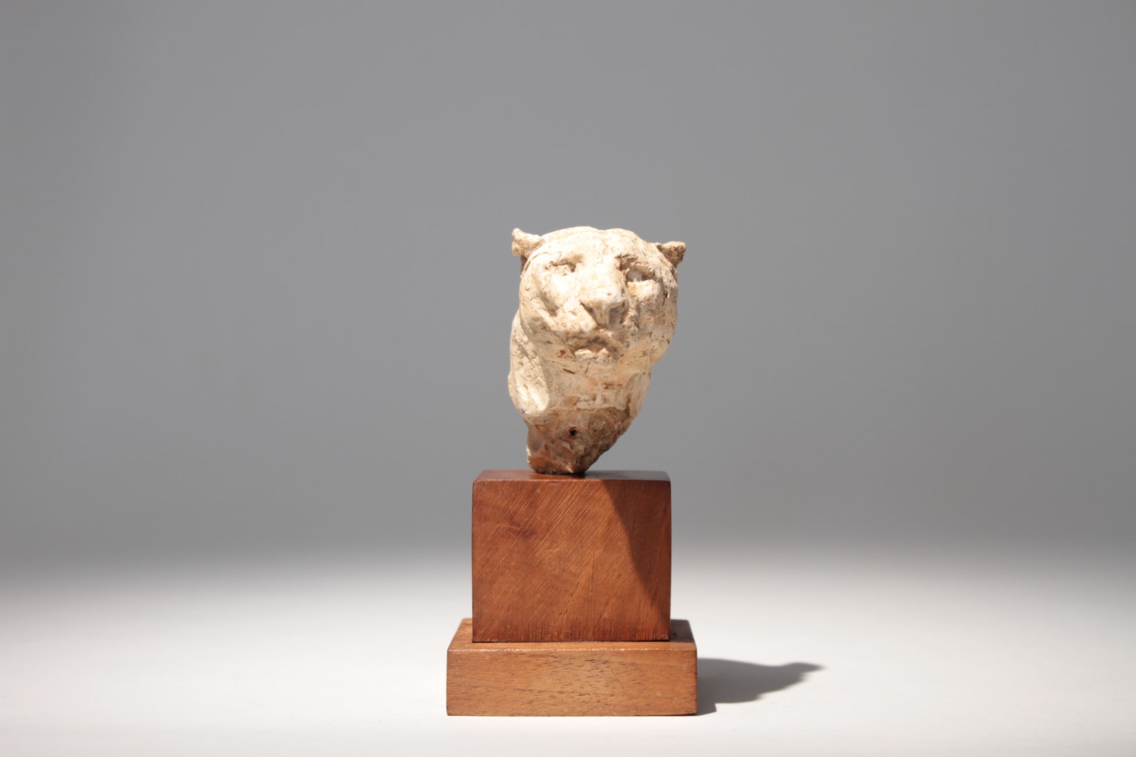 Richard Fath, Portrait de Lionne, circa 1930