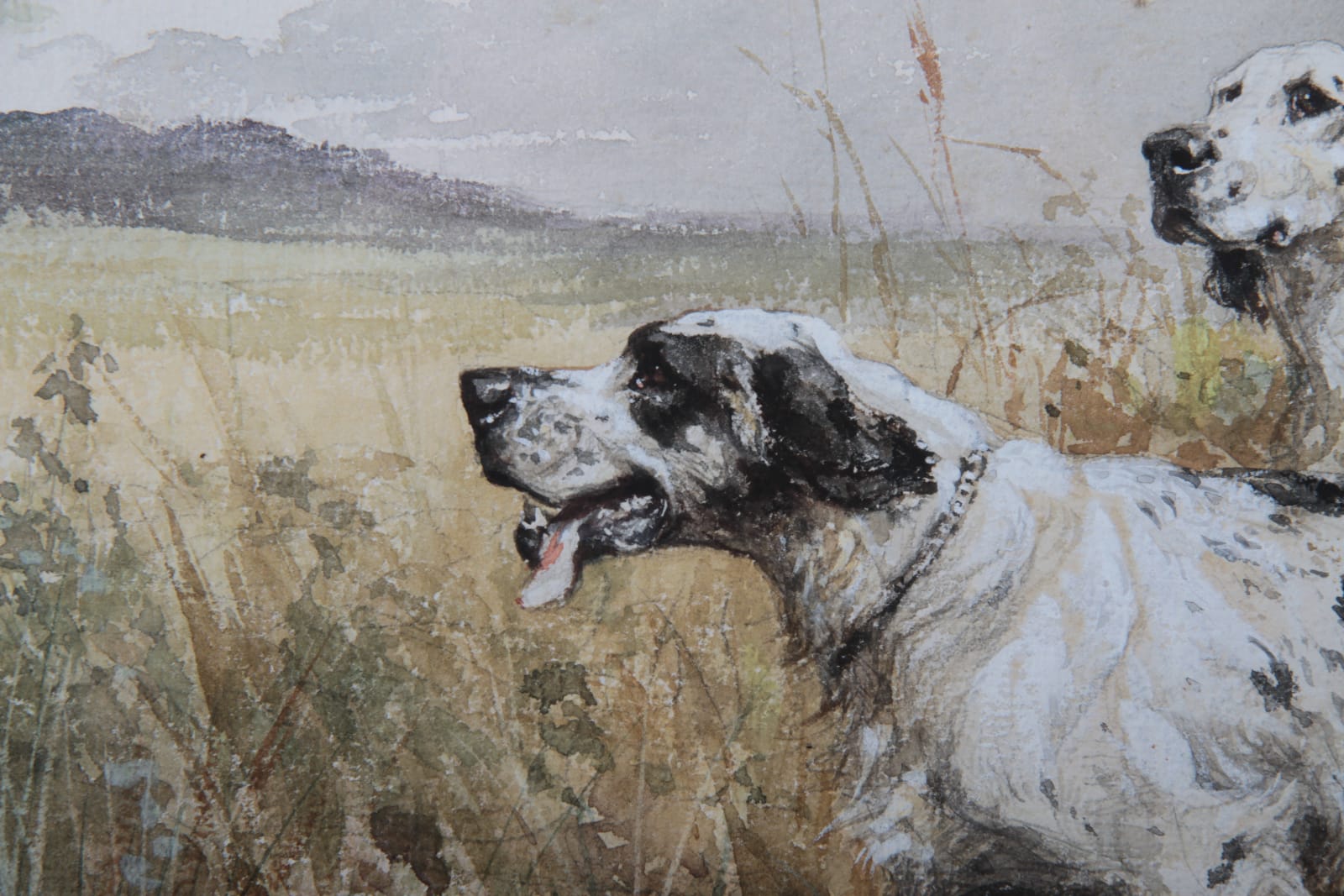 Olivier de Penne, Deux Setter Anglais, 1880