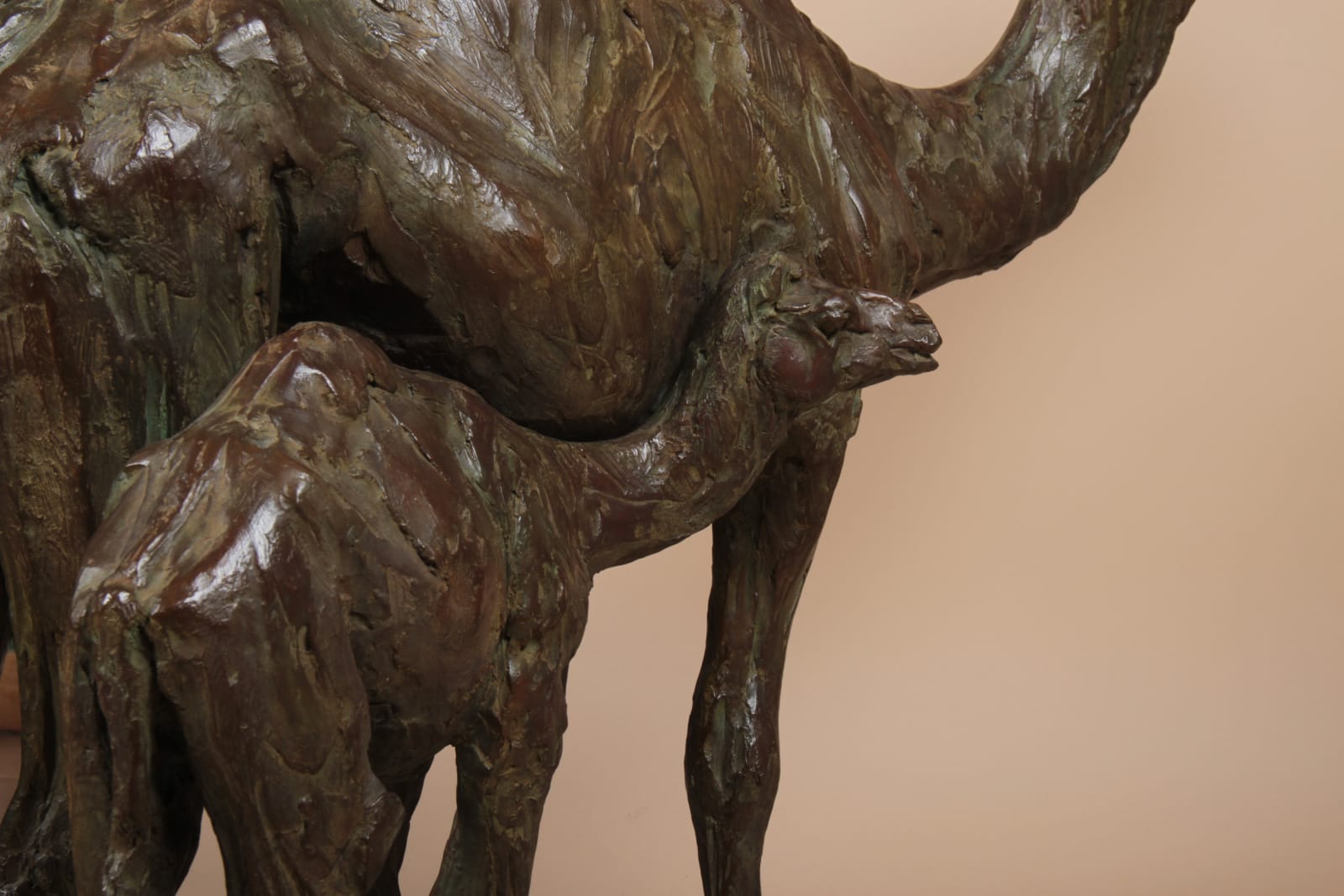 Roch Vandromme, Domadaire et son petit, 2014