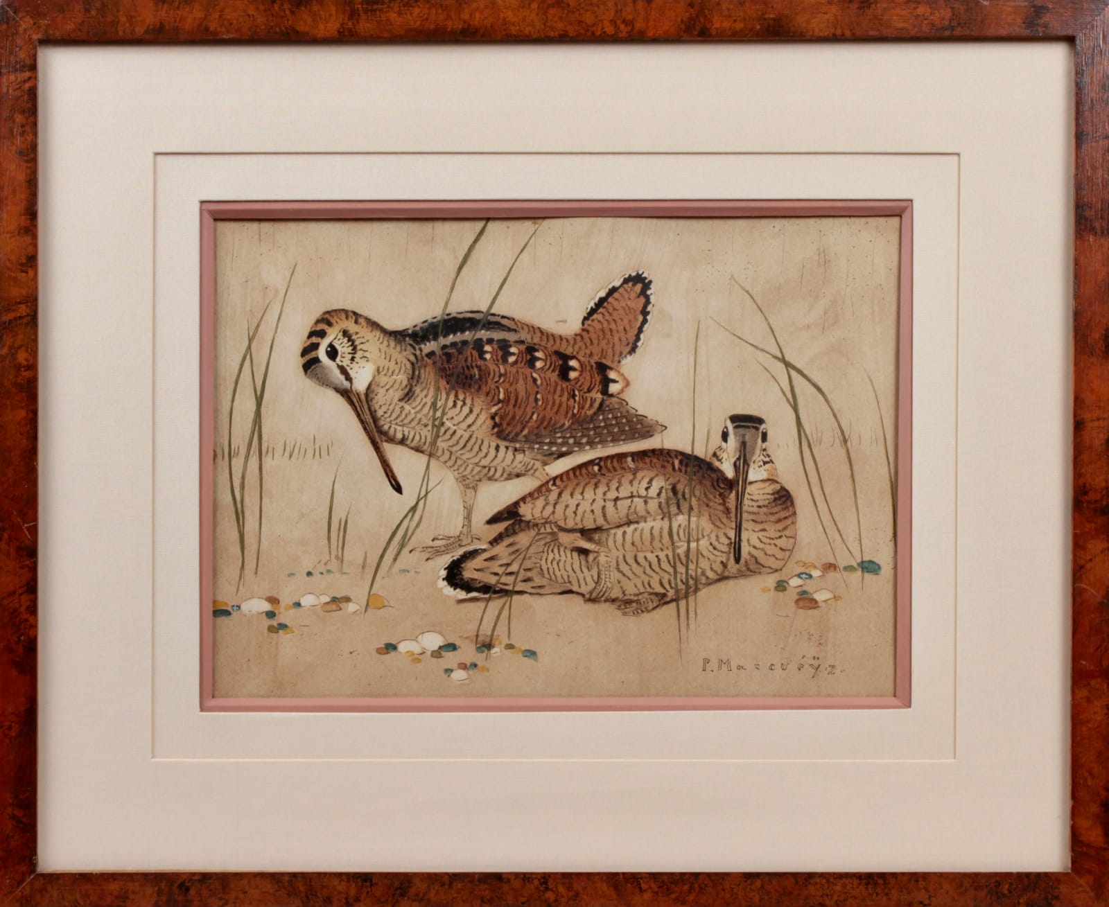 Paul Marcueyz, Bécasses en parade