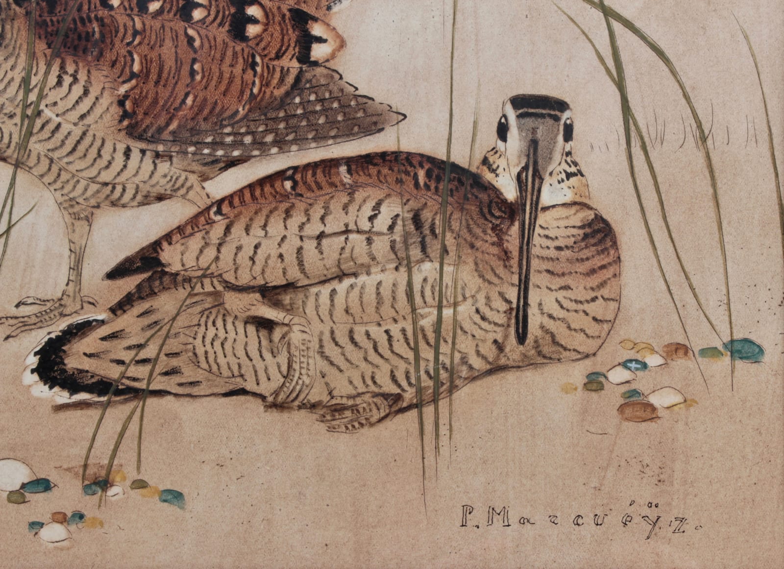 Paul Marcueyz, Bécasses en parade