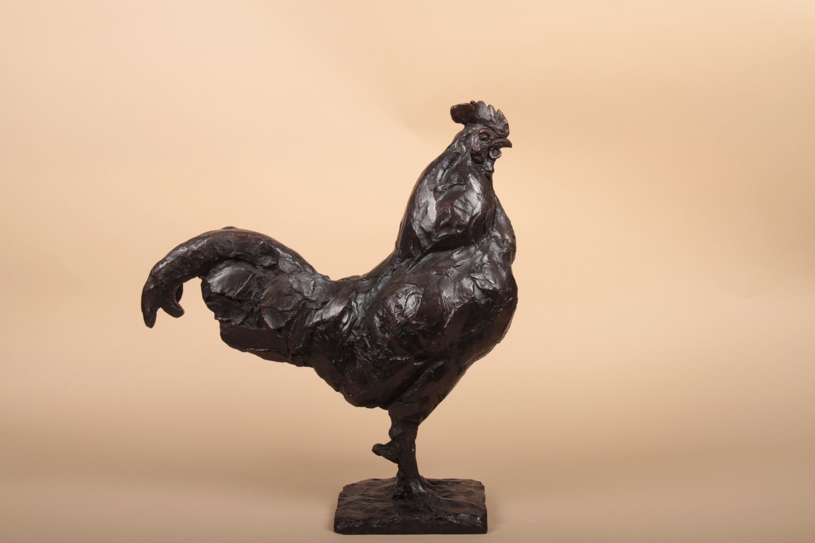 Roch Vandromme, Coq barbu, 1990
