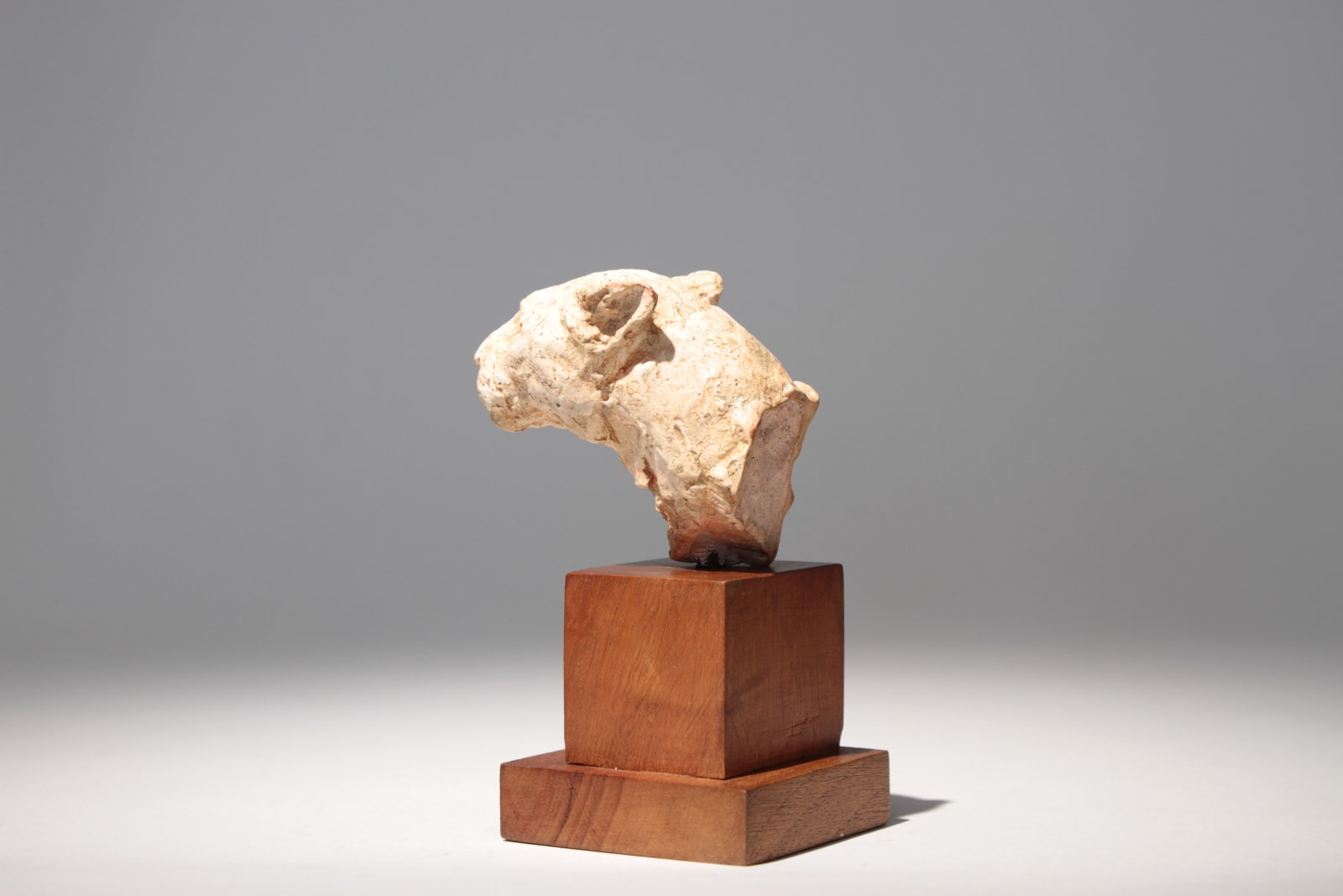 Richard Fath, Portrait de Lionne, circa 1930