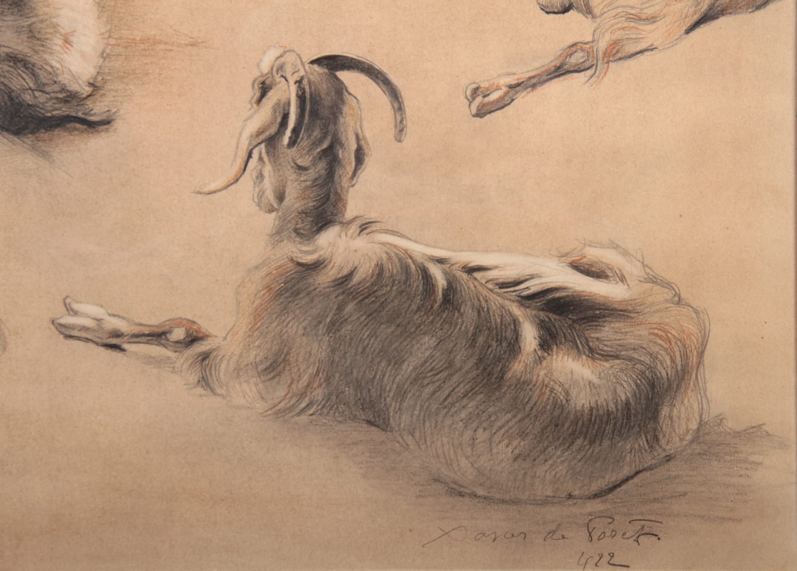 Xavier de Poret, Etude de chèvres des montagnes d'Afrique du Nord, 1922