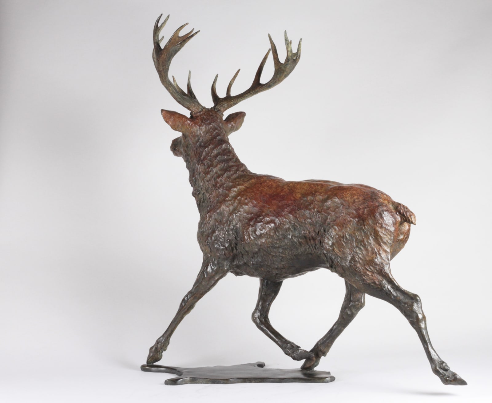 François Beaurin-Berthélemy, Grand cerf allant