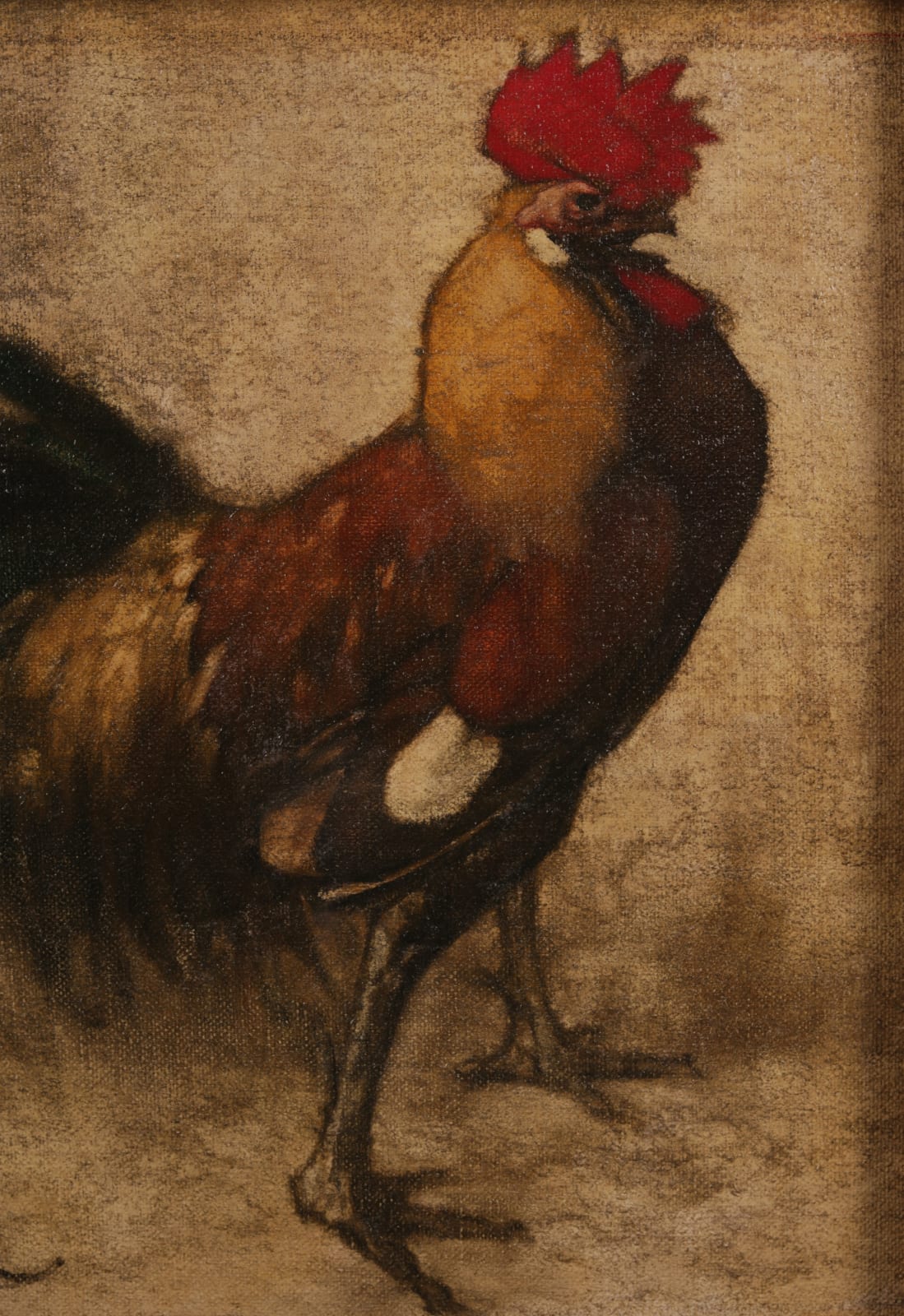 Henri Deluermoz, Coq et Dindon