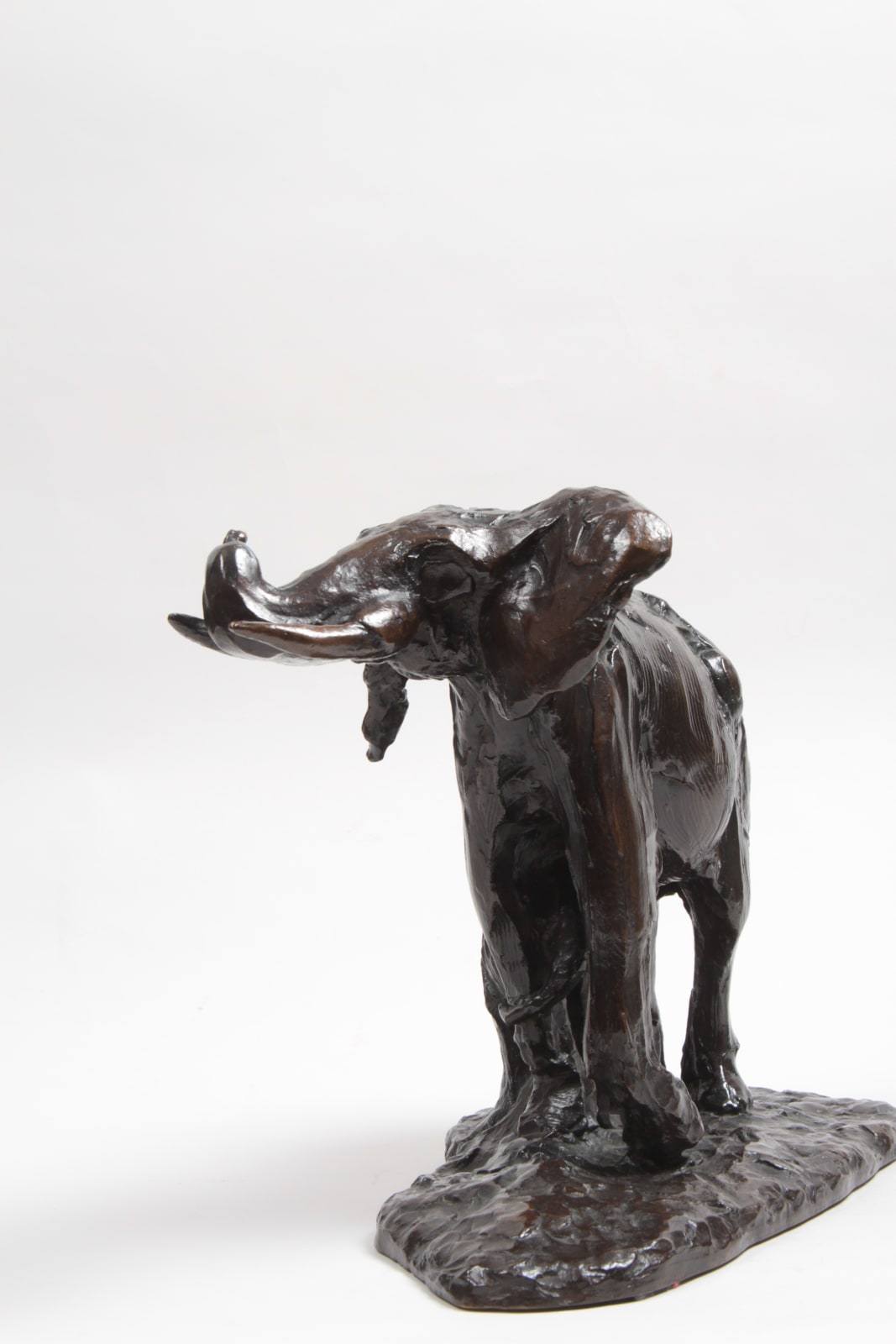 Edouard Navellier, Elephante et son petit