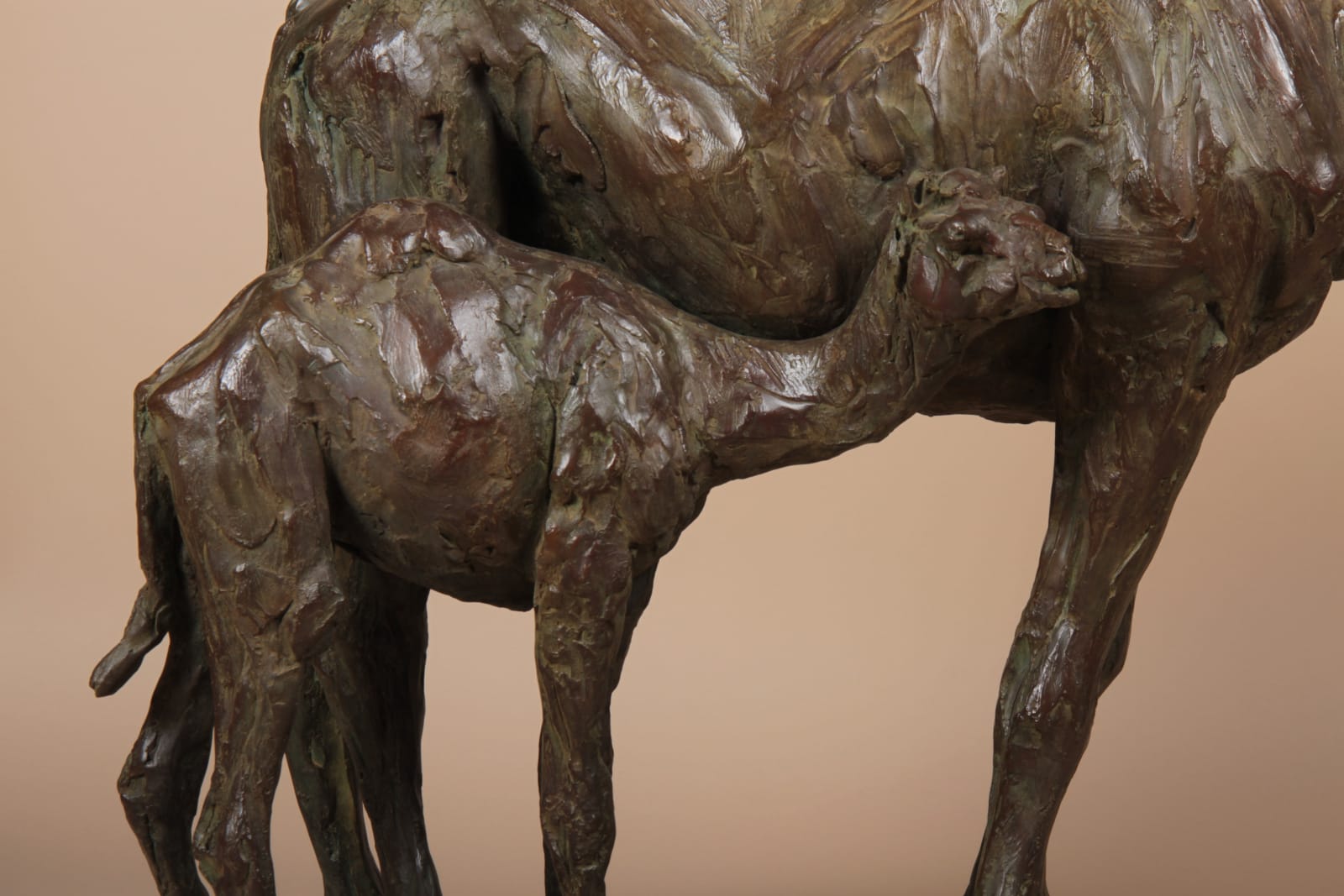 Roch Vandromme, Domadaire et son petit, 2014