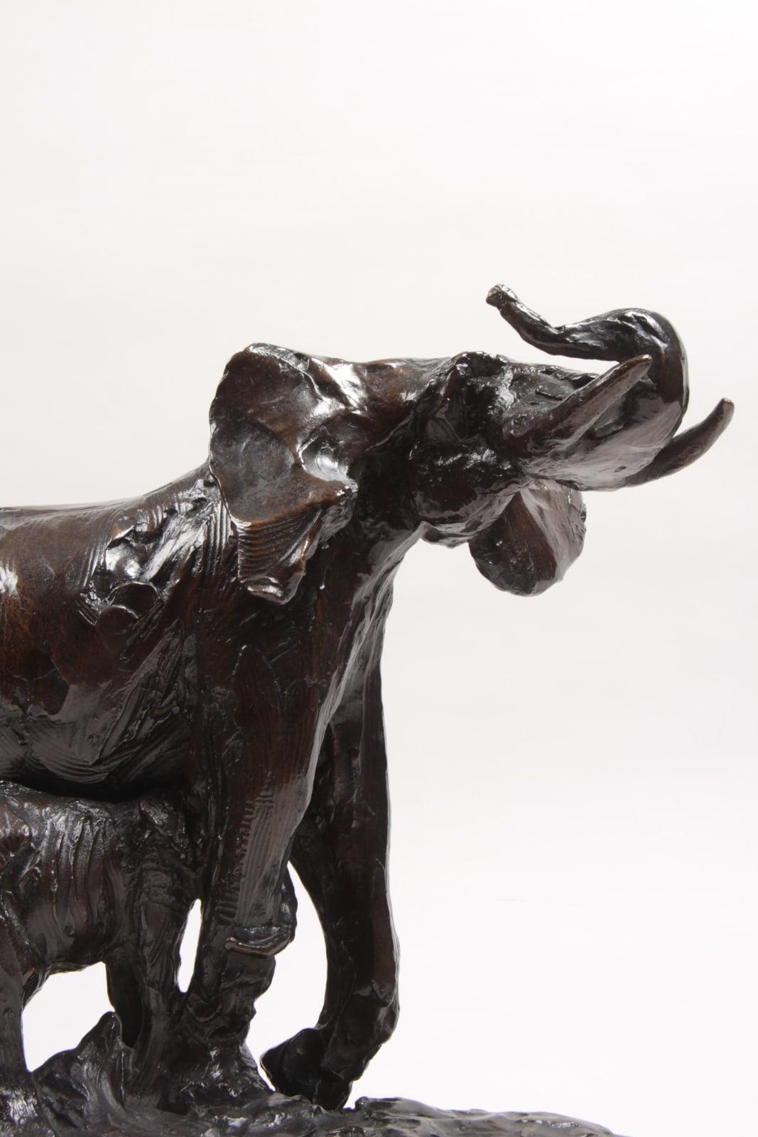 Edouard Navellier, Elephante et son petit