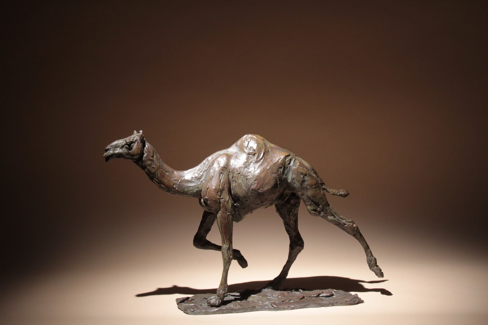 Roch Vandromme, Fin de la course, 2013