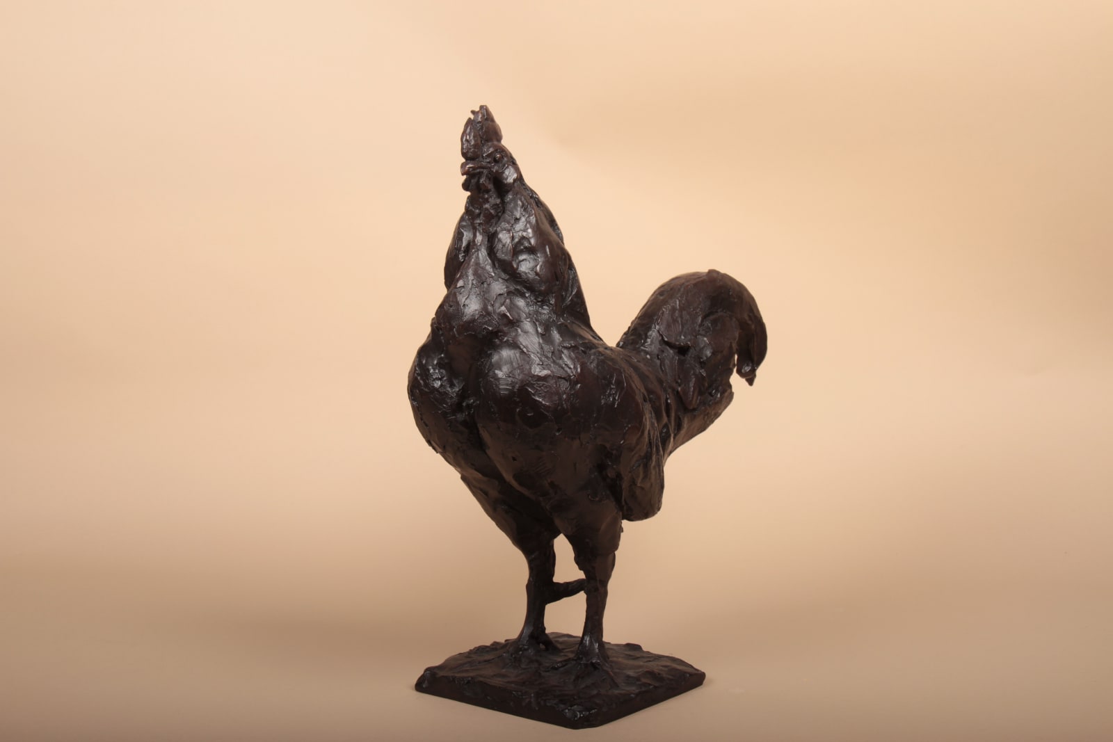 Roch Vandromme, Coq barbu, 1990