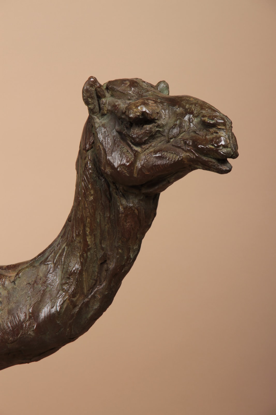 Roch Vandromme, Domadaire et son petit, 2014