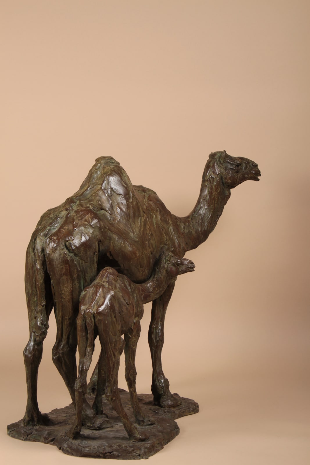 Roch Vandromme, Quatre dromadaires à Doha, 2010-2015