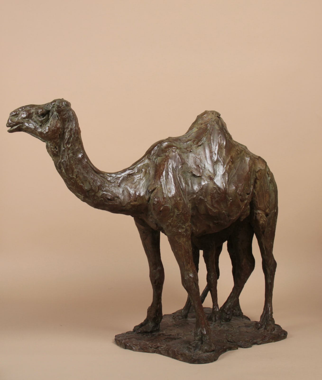 Roch Vandromme, Domadaire et son petit, 2014
