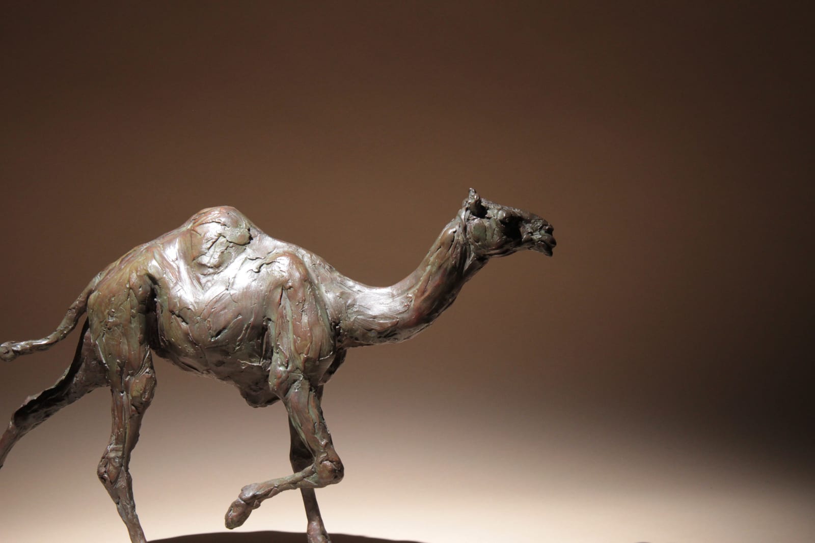 Roch Vandromme, Fin de la course (Dromadaire), 2013