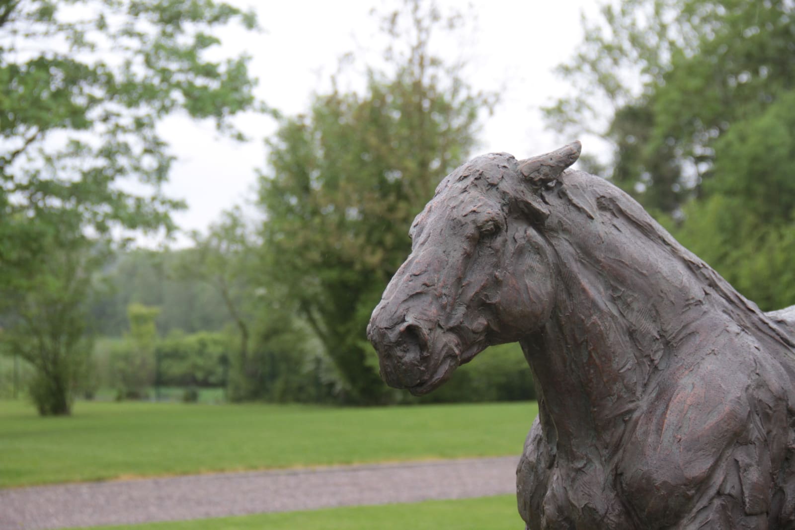 Roch Vandromme, Le Postier (Cheval de trait) , 2019