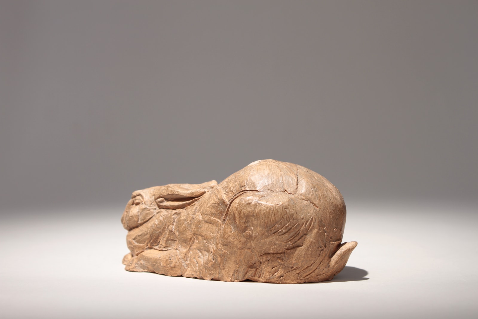 Jérome Balaÿ, Lièvre au gîte