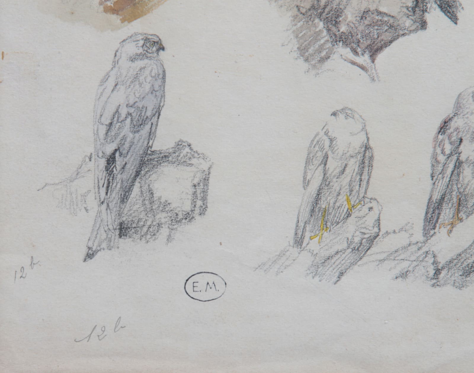 Edouard Mérite, Busard St-Martin