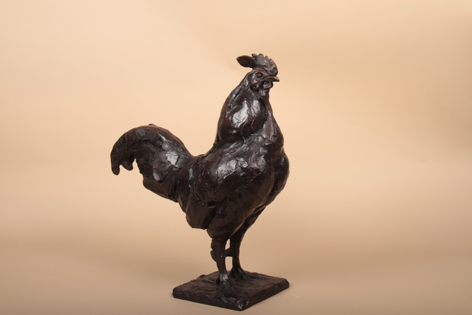 Roch Vandromme, Coq barbu, 1990