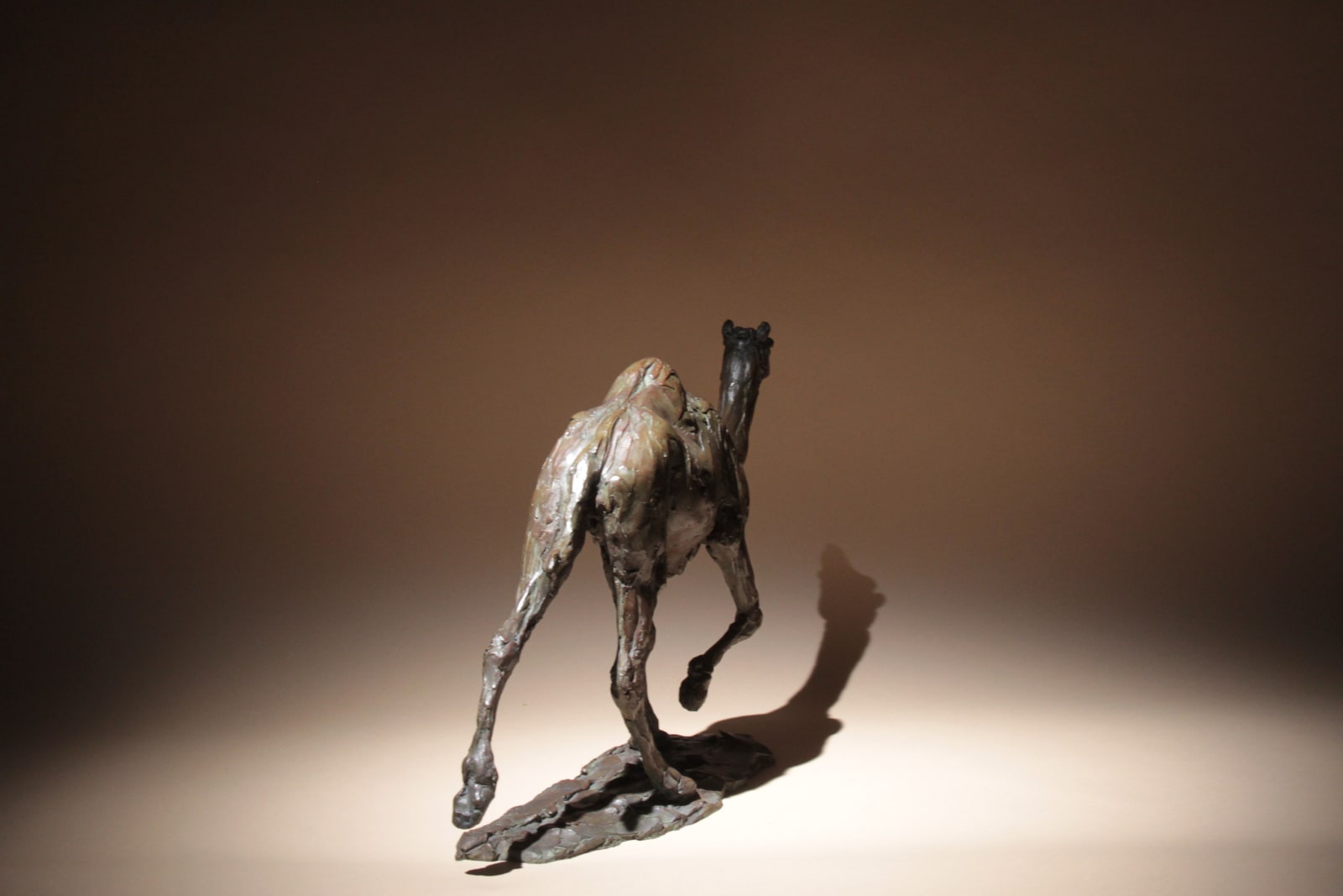 Roch Vandromme, Fin de la course, 2013