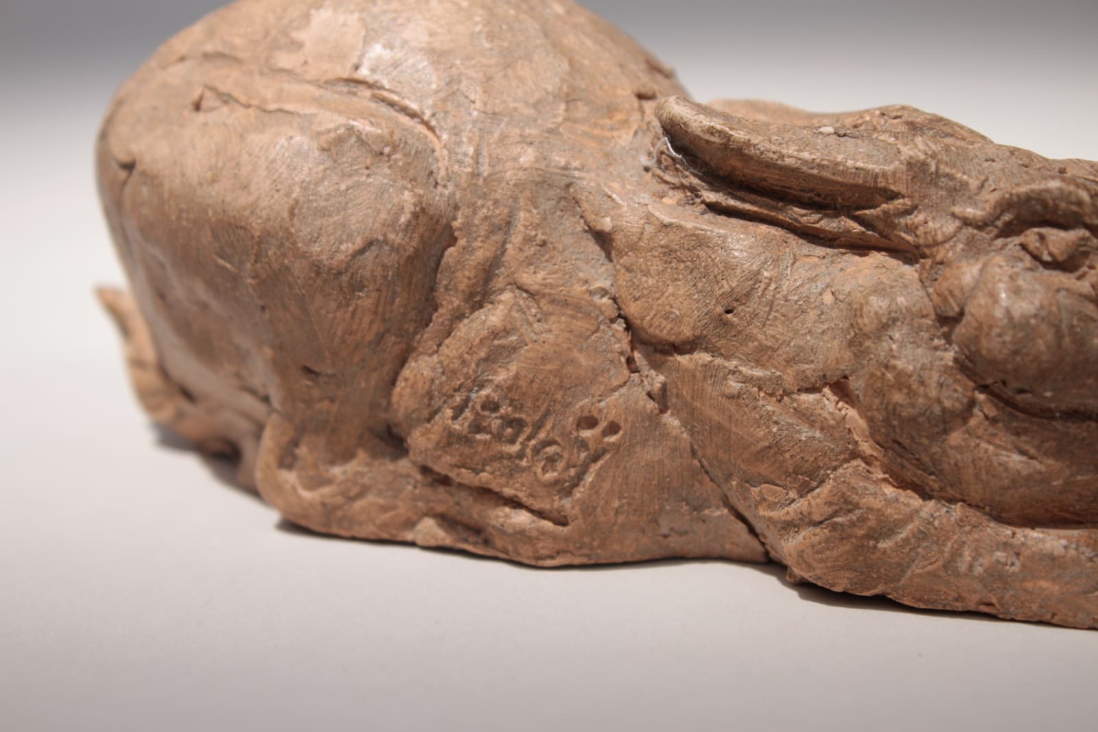 Jérome Balaÿ, Lièvre au gîte