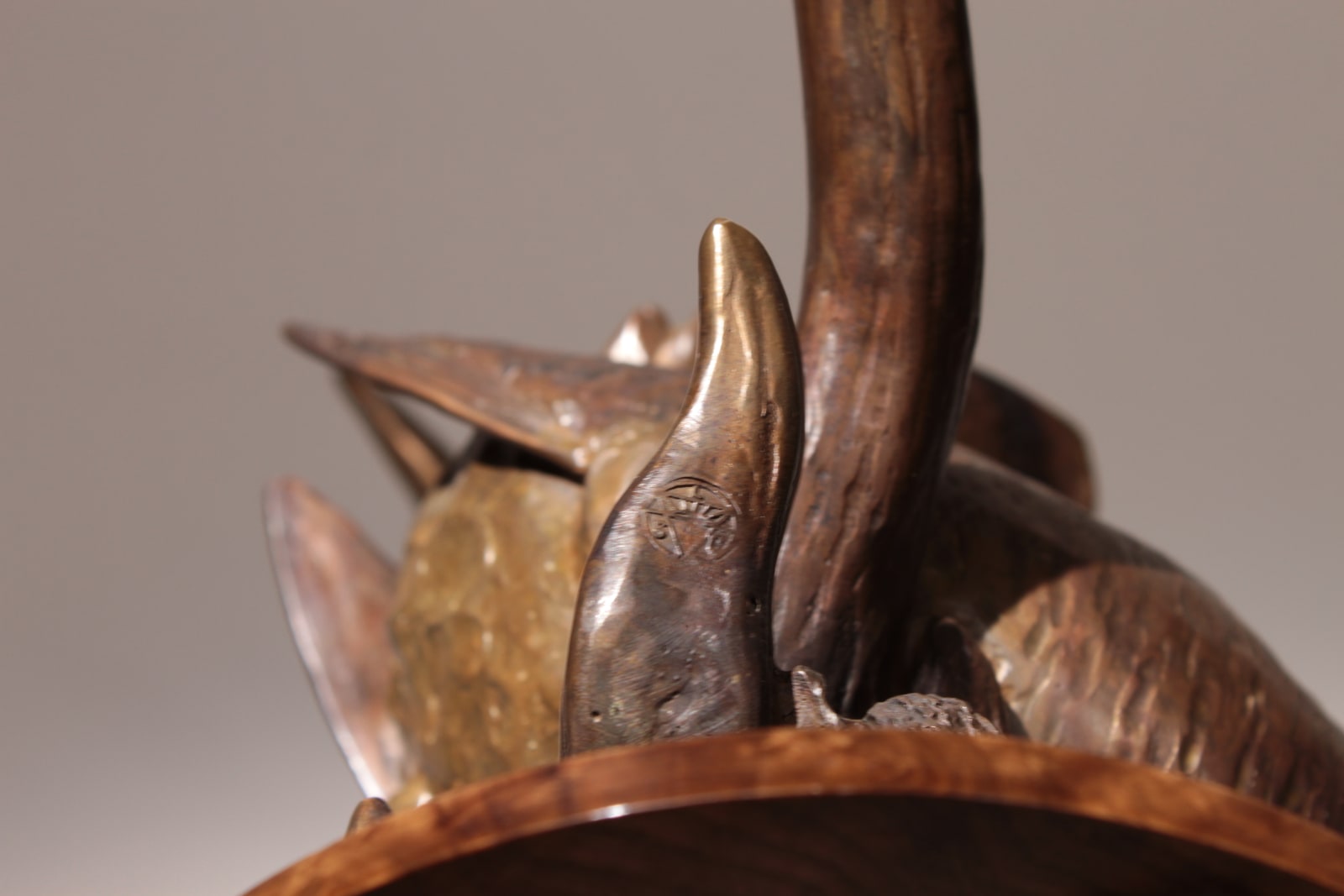 Dany Continsouzas, Belle des bois (Bécasse)