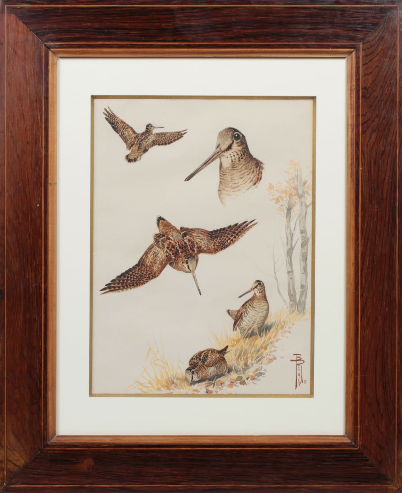 Boris Riab, Etude de bécasses