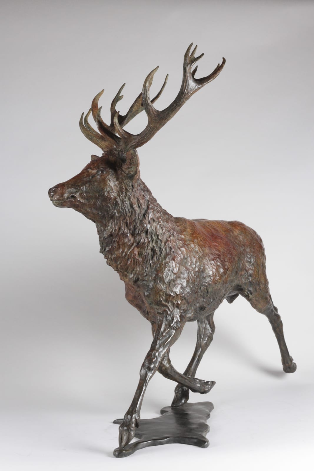 François Beaurin-Berthélemy, Grand cerf allant