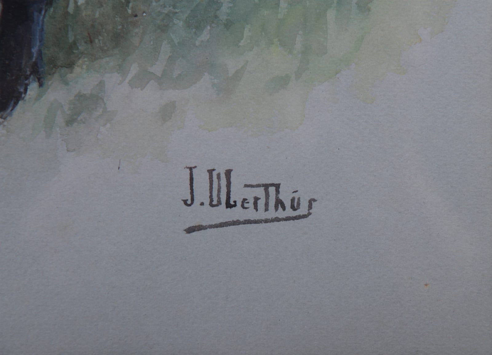 Joseph Oberthür, Etude de sanglier