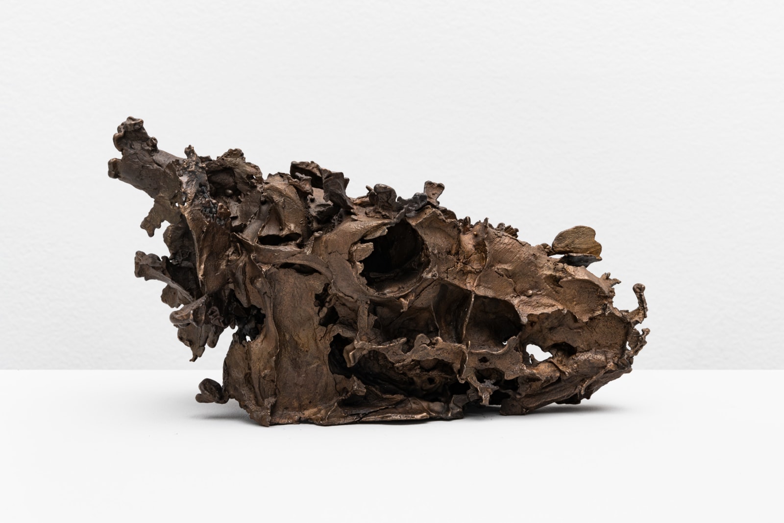 CHRISTIAN GONZENBACH, Die Wilde Jagd (lama glama) , 2020