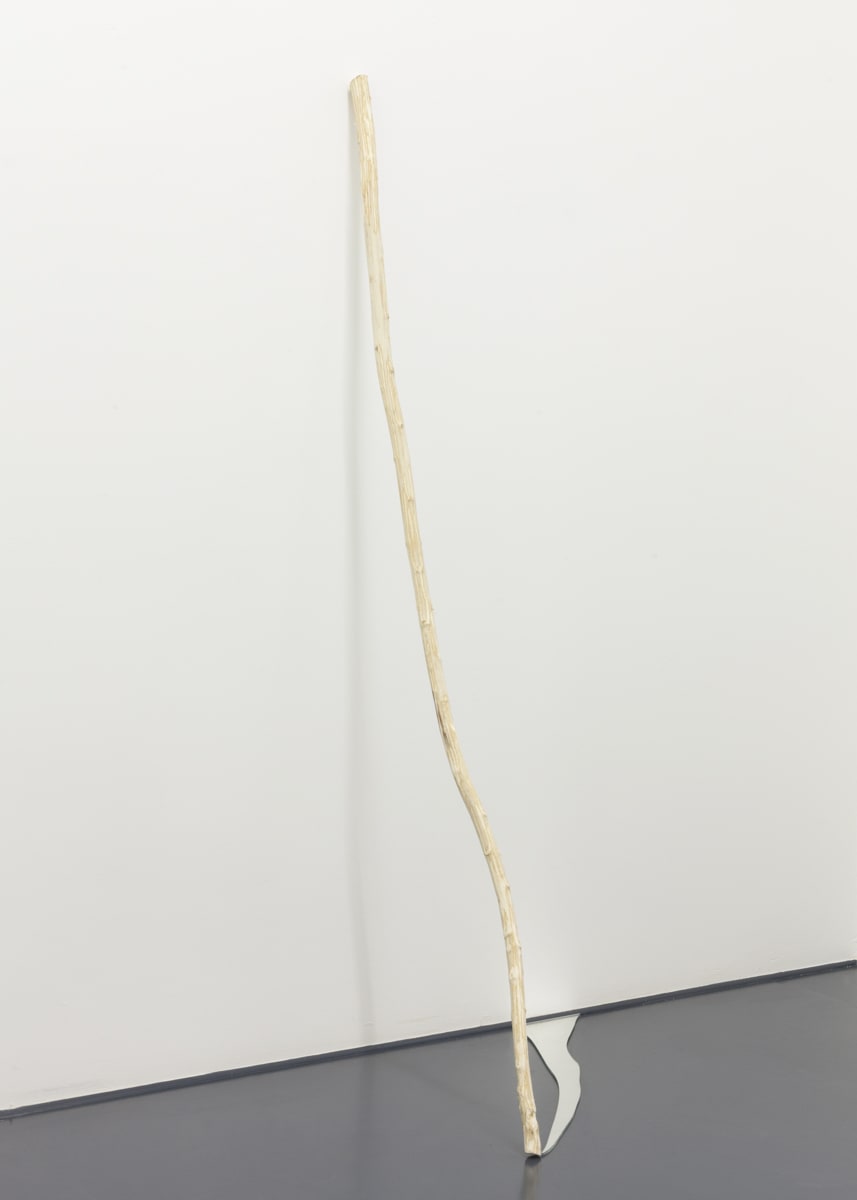 Stéphane Thidet, Entre ciel et terre, 2015