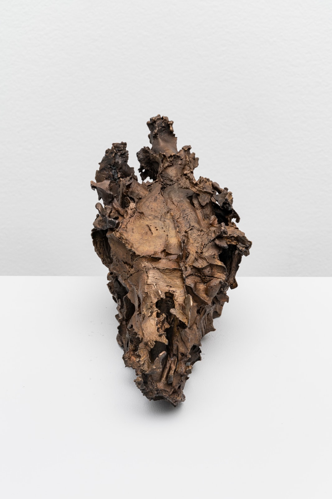 CHRISTIAN GONZENBACH, Die Wilde Jagd (lama glama) , 2020