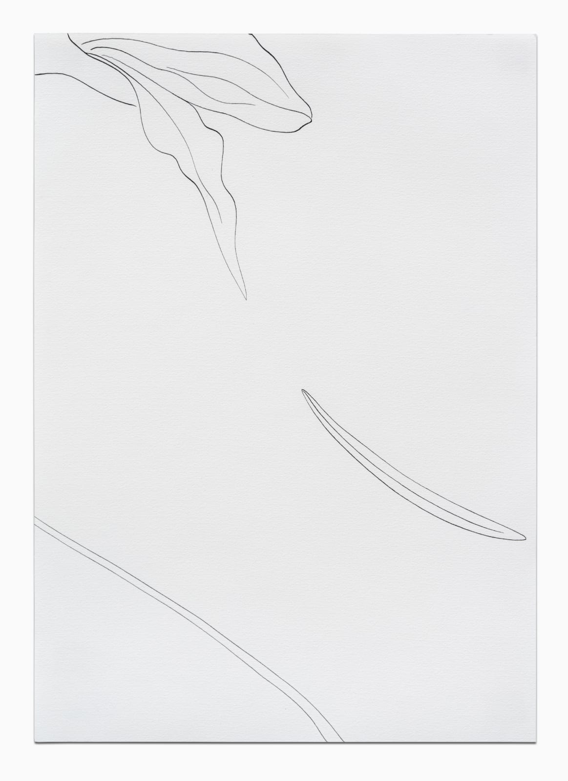 CAROLINE CORBASSON, Esquisses , 2020
