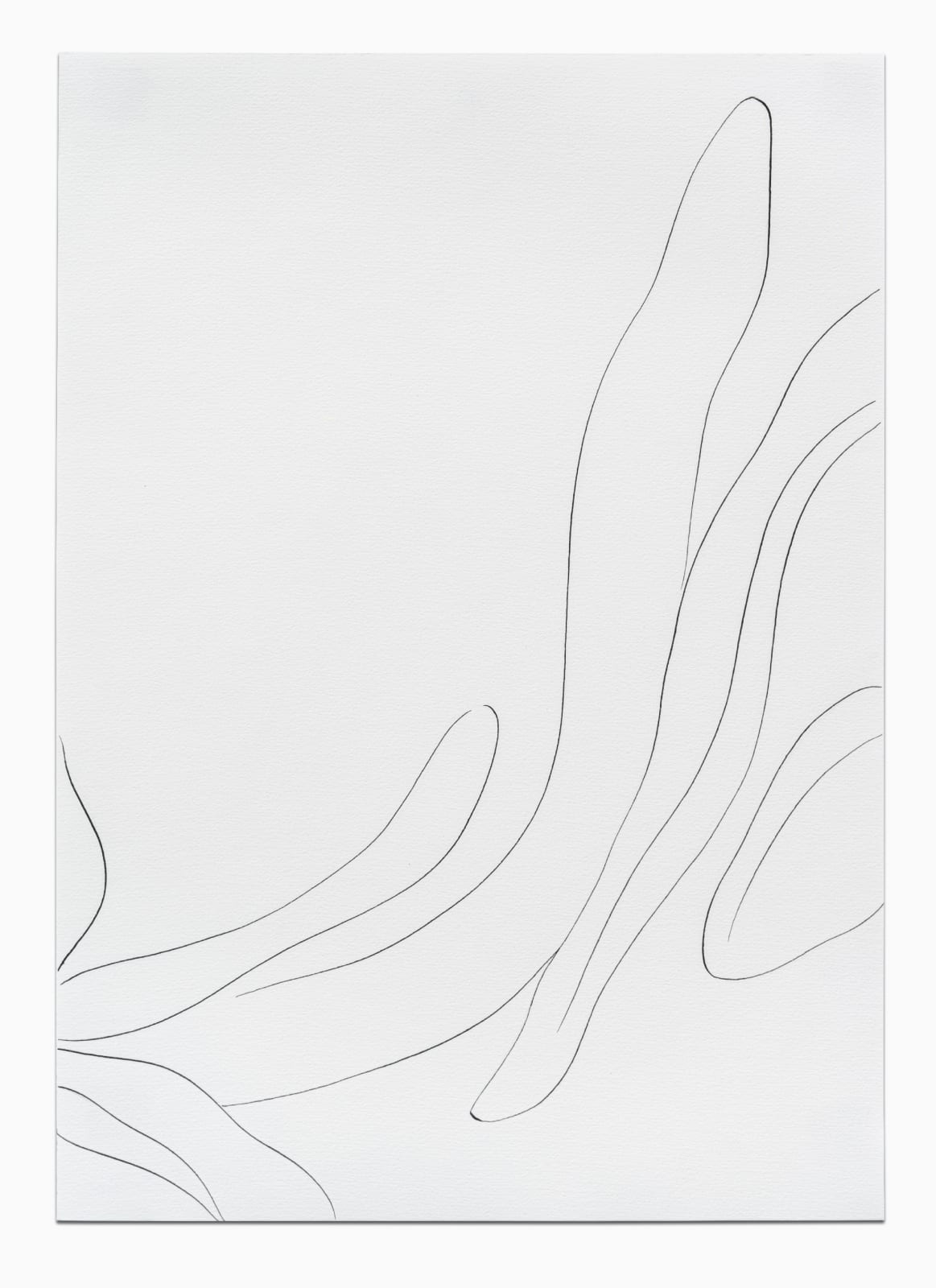 CAROLINE CORBASSON, Esquisses , 2020