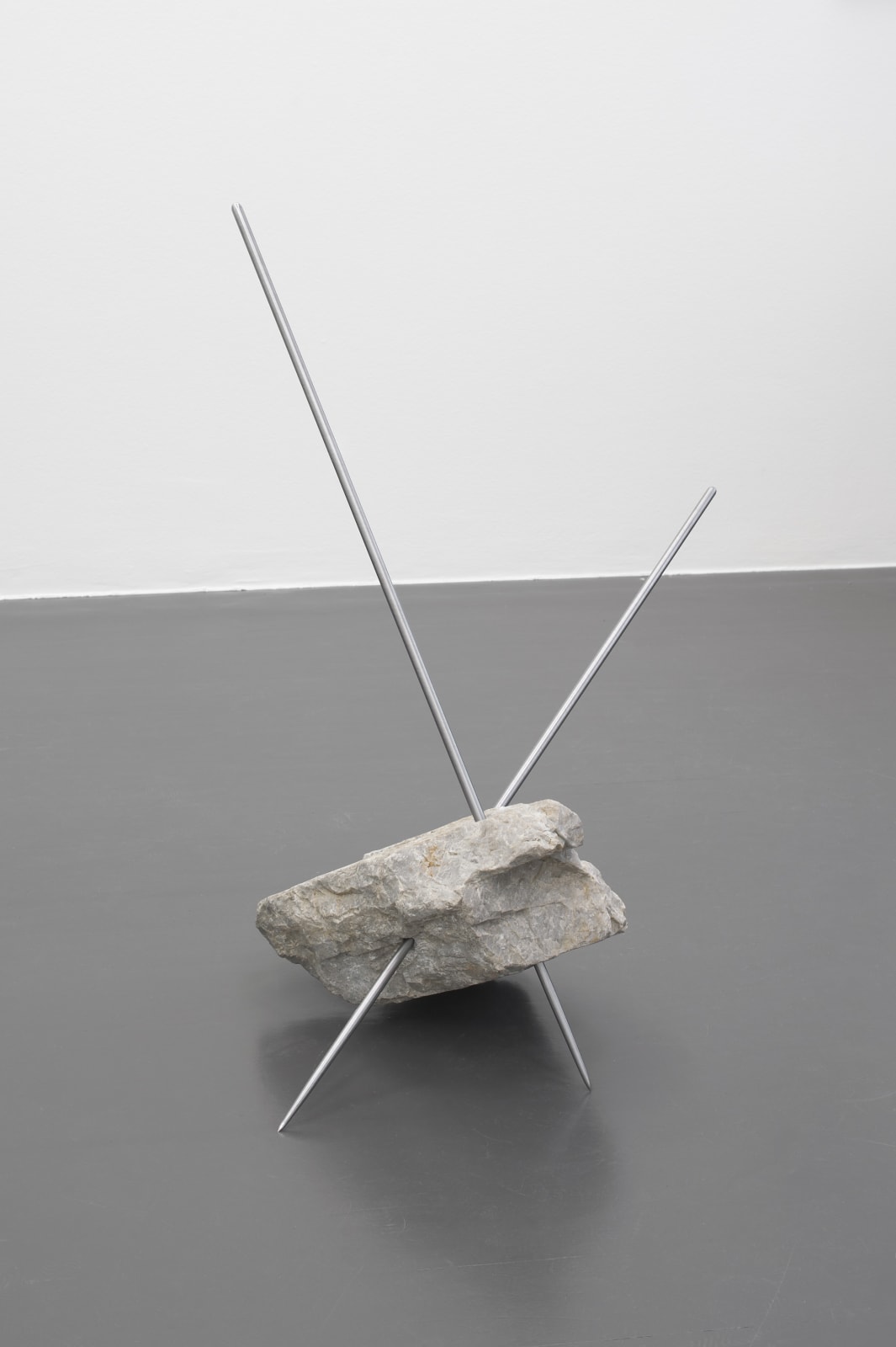 Stéphane Thidet, Les immortelles, 2017