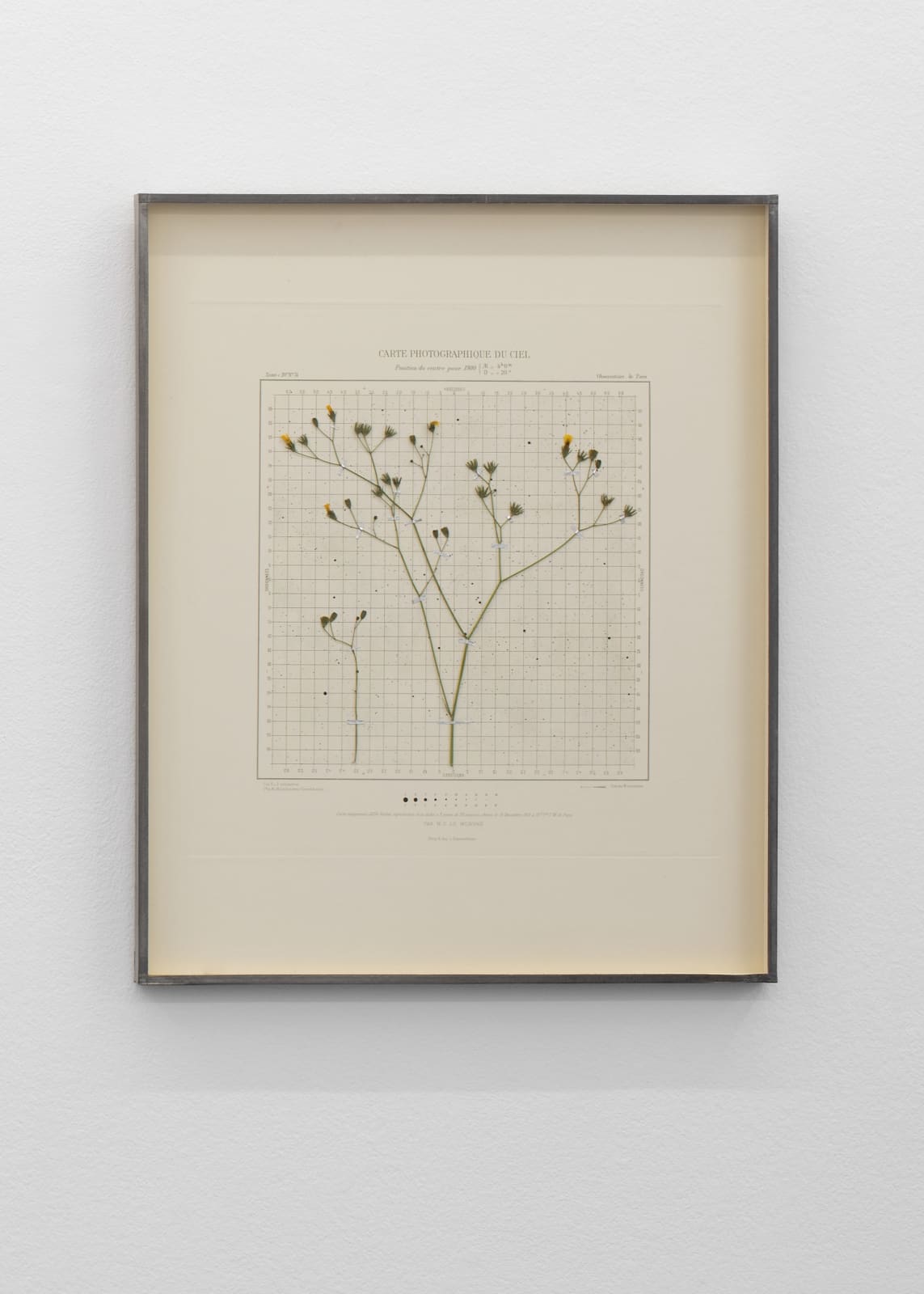 CAROLINE CORBASSON, Starlight II, 2020