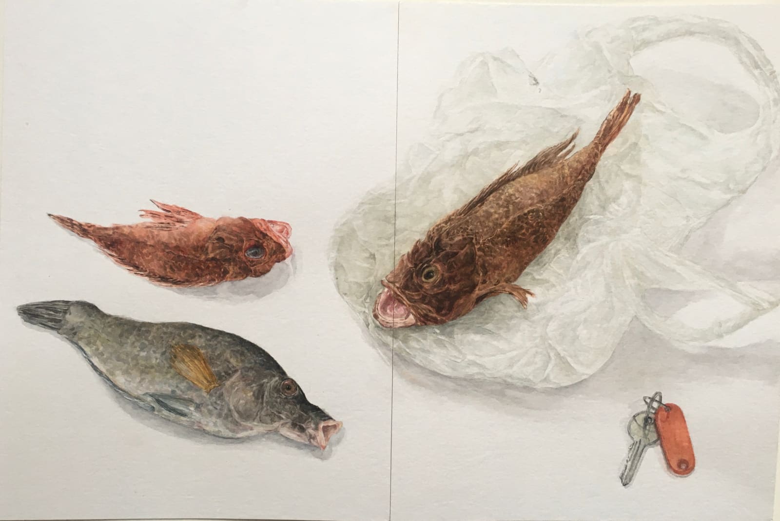 Marie Bovo, 3 mars 2021 (Des poissons de roche et le double des clefs de l'atelier), 2021
